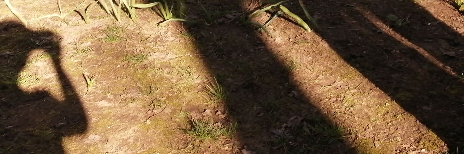HelenWisbey's profile banner image