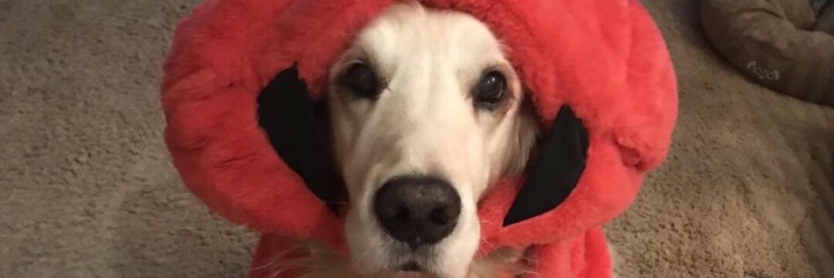 Jakewanks's profile banner image