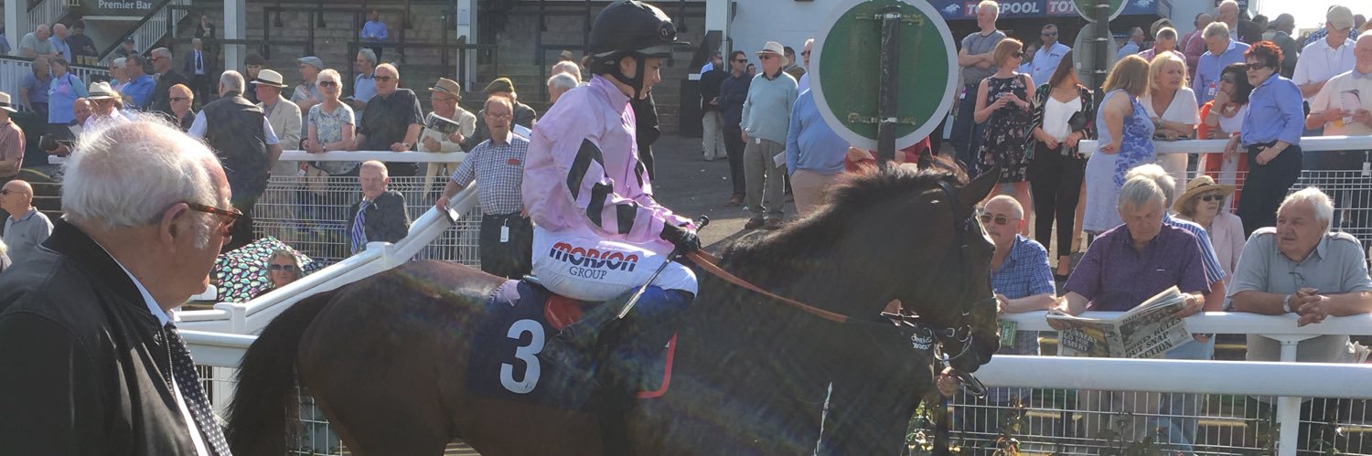 matthew mountstephen banner