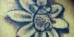 laconsoblesa's profile banner image