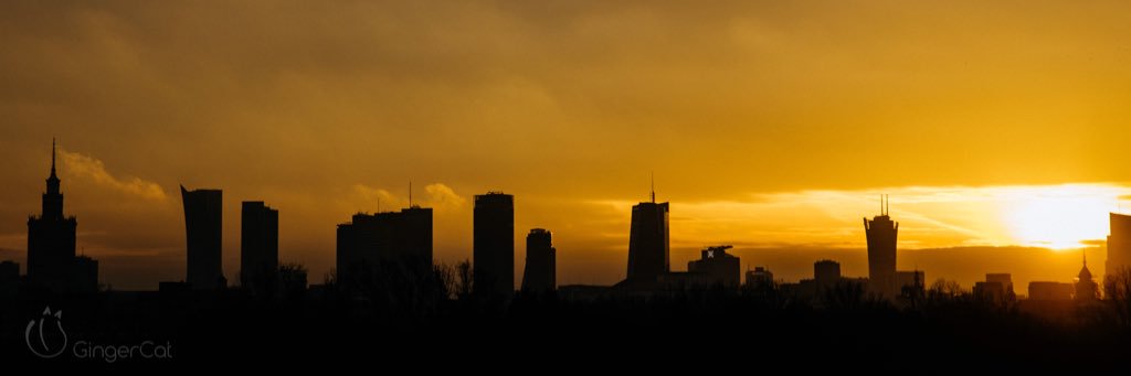 avdotiaPL's profile banner image
