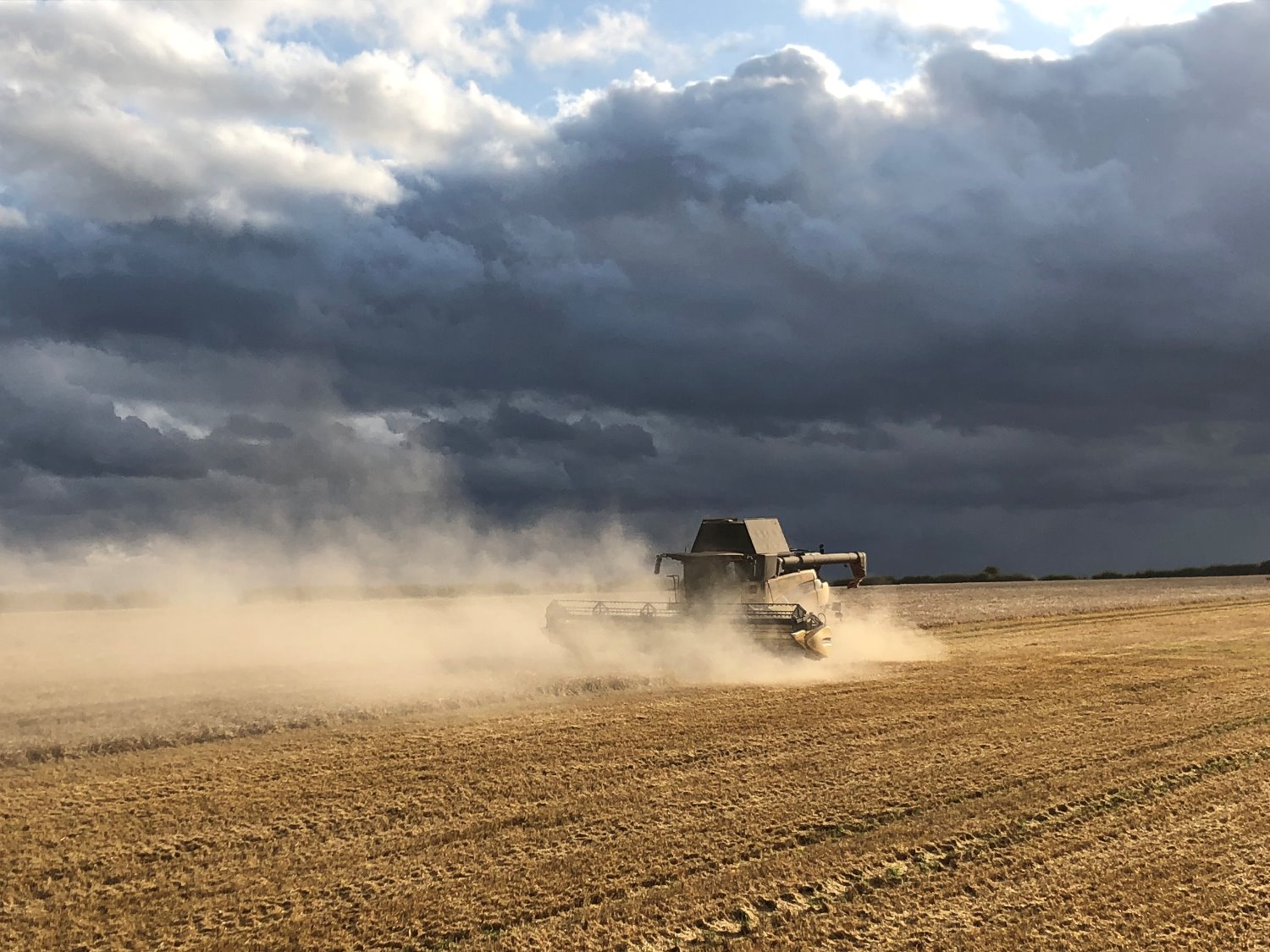 Mark Middleton banner