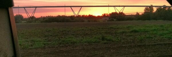 ShortRow_Hunter Profile Banner