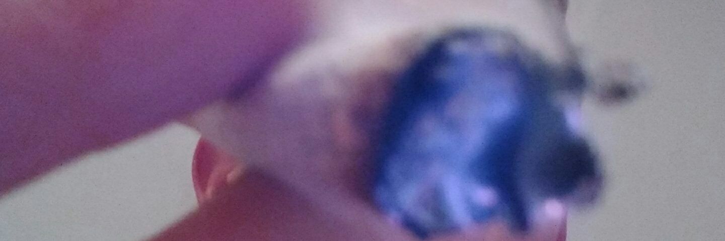 AlexMiguez98's profile banner image