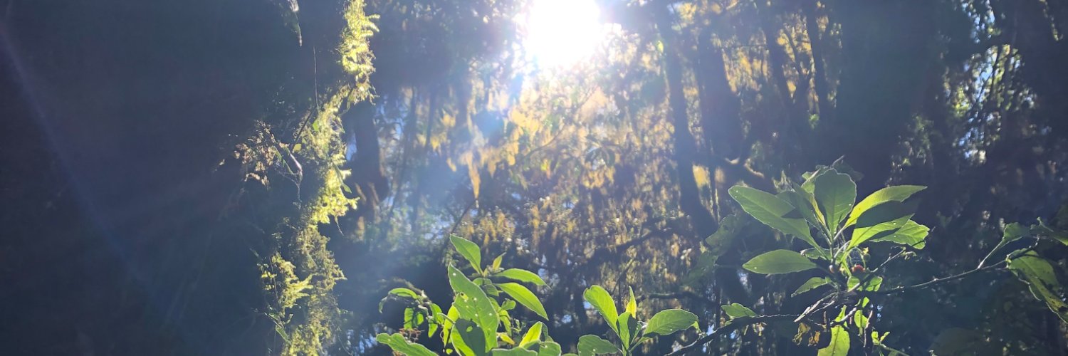 mariemsesan's profile banner image