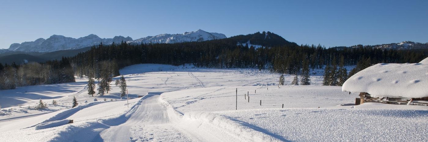 Marcos Truchado banner