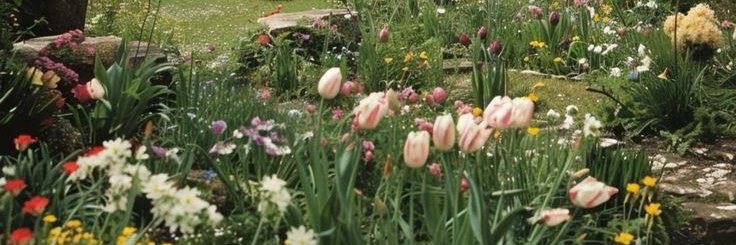 isappointment || mdni 🔞 banner