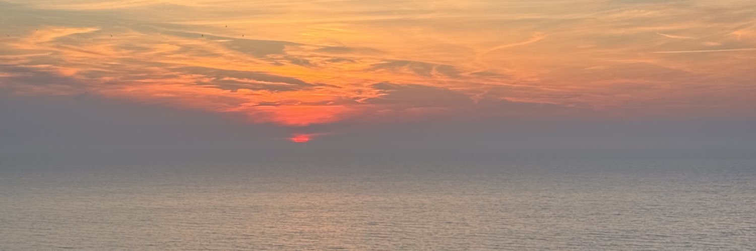 noehenrion's profile banner image