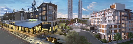 SitingsRealty's profile banner image