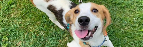 MainLineRescue Profile Banner