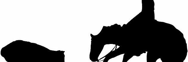 BLBuckley's profile banner image