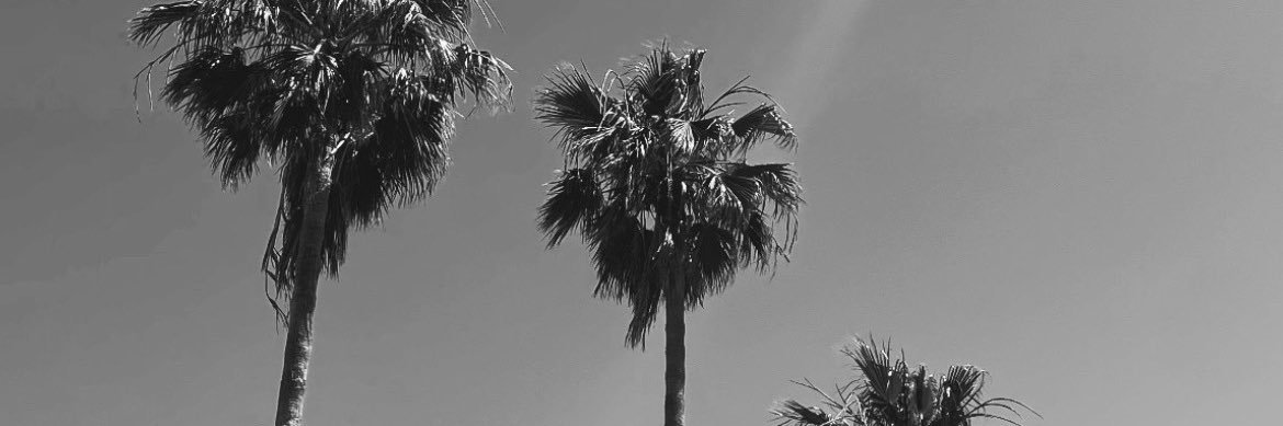 LuciaFedermann's profile banner image
