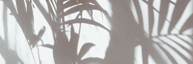 belulomb's profile banner image