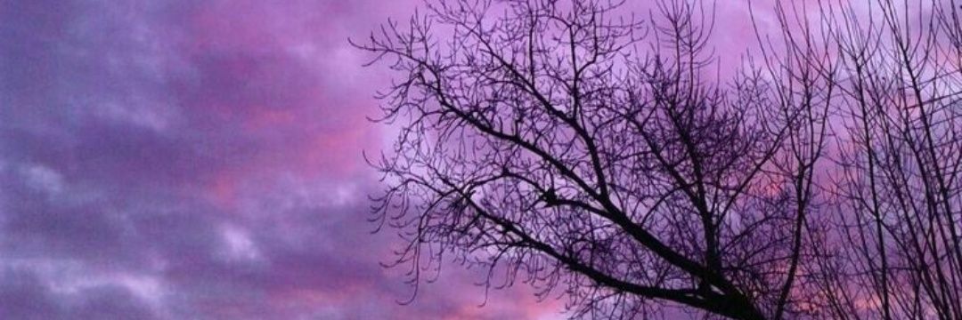 Winipeppa11's profile banner image