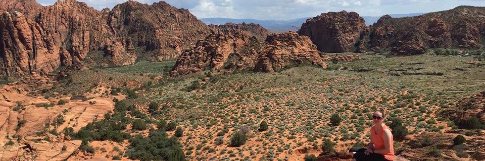 Jessica Snavely banner