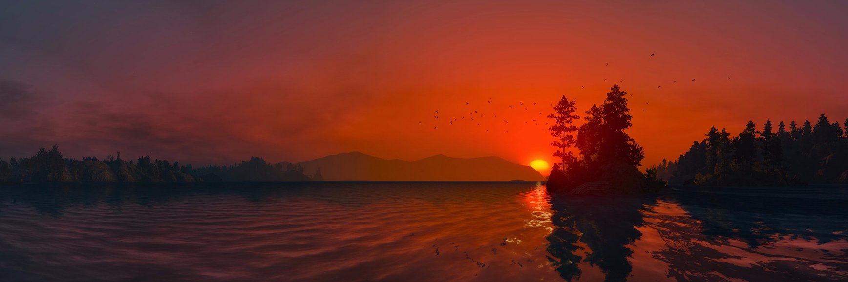 notdavidturner's profile banner image