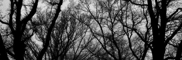 InstabilesPuer's profile banner image