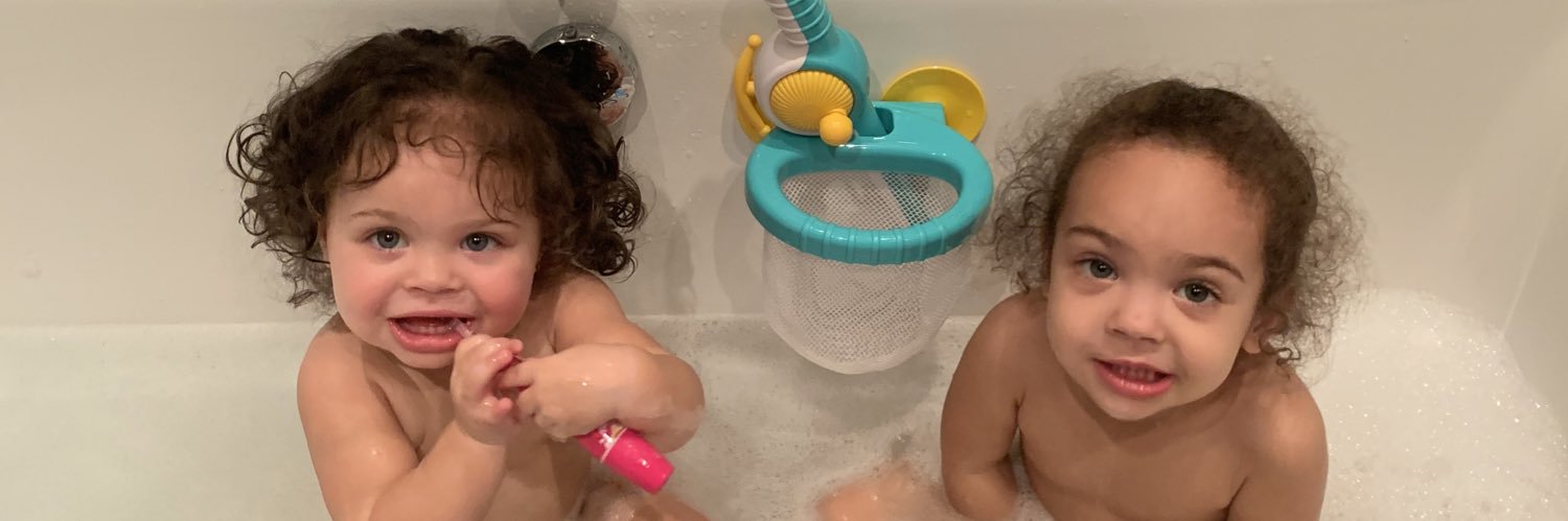 Carl Ellis Brown banner