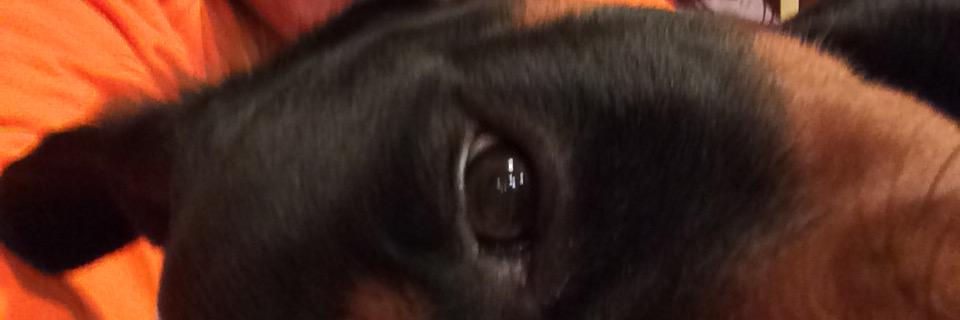 Sheeds_55's profile banner image