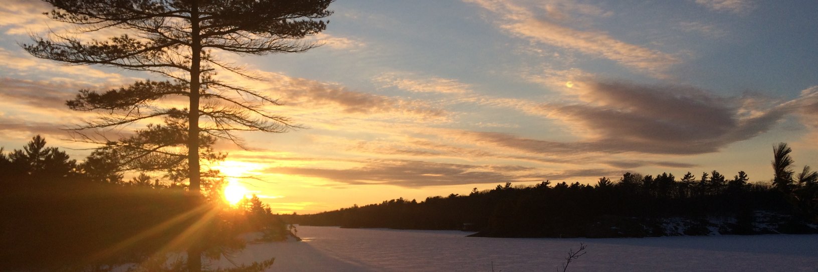 merlin3942's profile banner image
