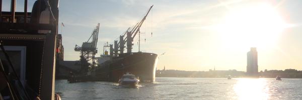 NatalieOkagami Profile Banner