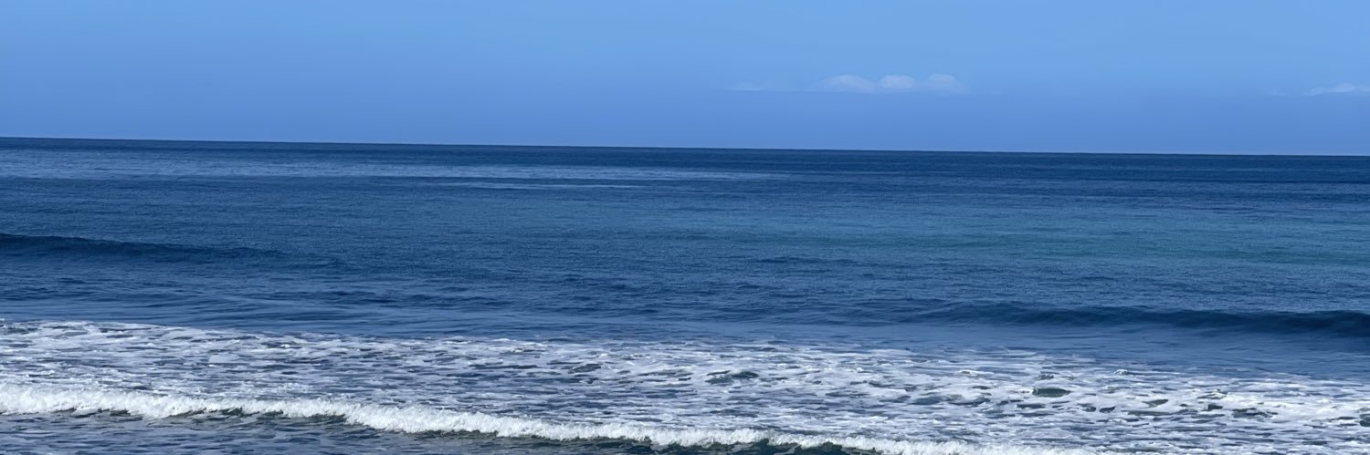 dolphinroxy's profile banner image