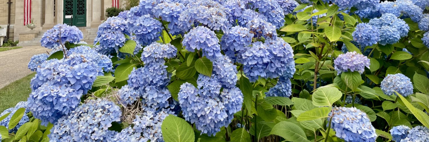 Andrew Sanchez banner