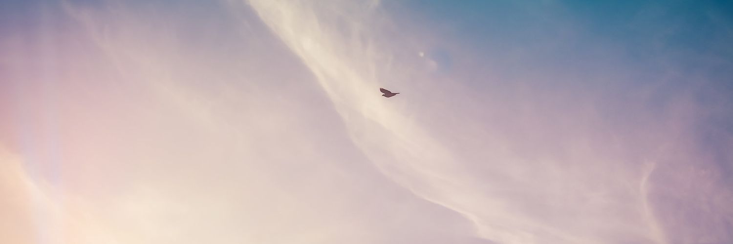 noor_sultan's profile banner image