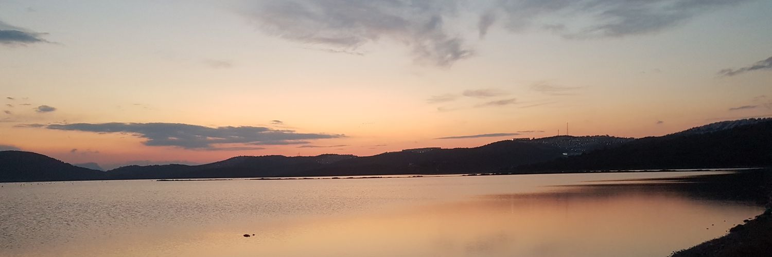 Esinsysl's profile banner image
