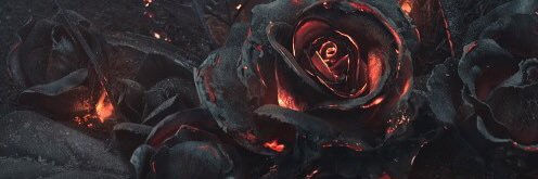 damicmills's profile banner image