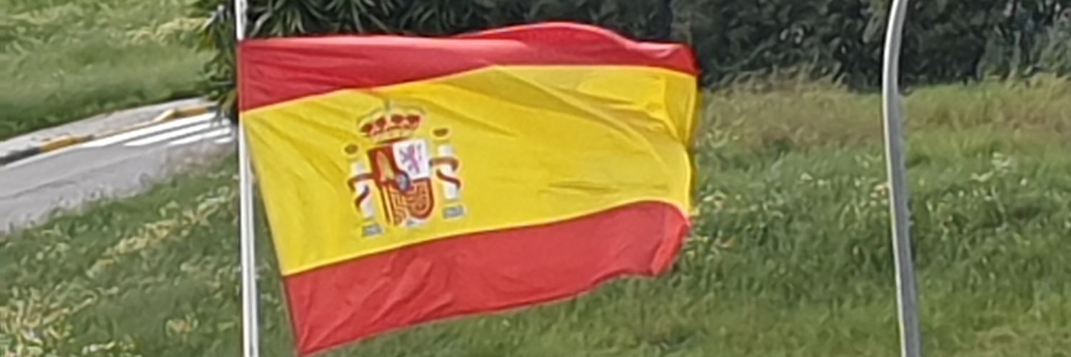 twt_LuisFAlonso's profile banner image