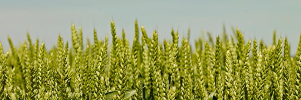 SaatenUnionFr Profile Banner