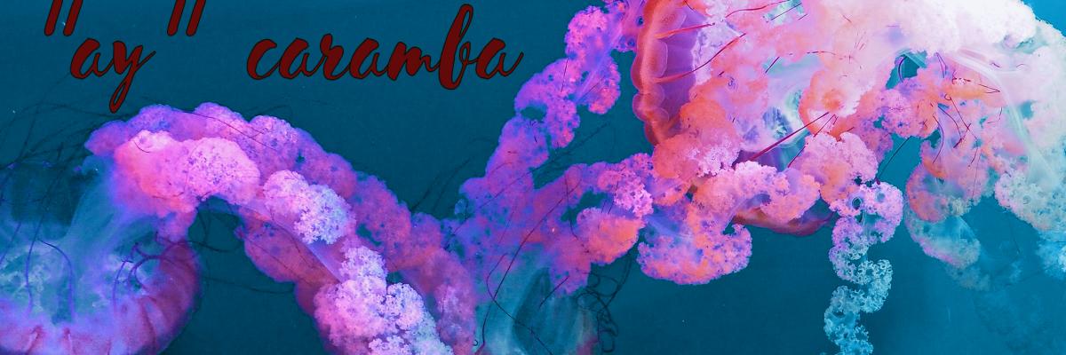 ClearMindState's profile banner image
