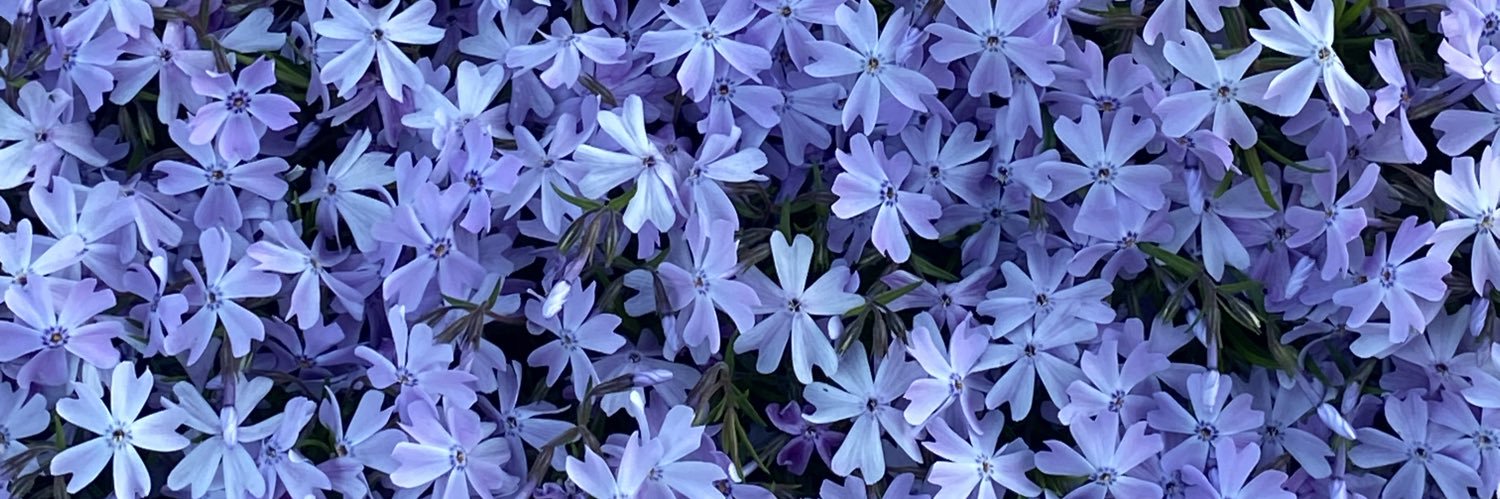 maqpeace's profile banner image