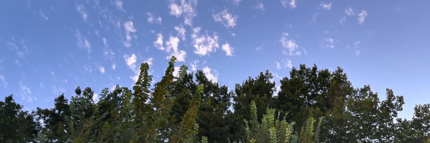 JRodakaRisse's profile banner image