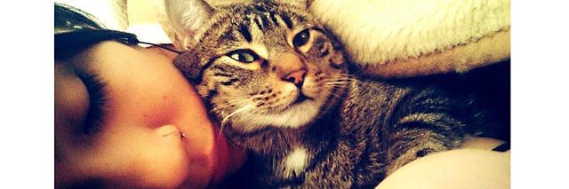 Steff ♡.♡ banner
