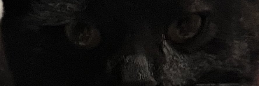 Katyadhe's profile banner image