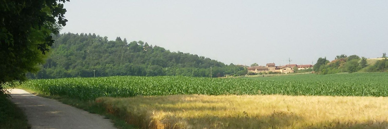 vieffepinter's profile banner image