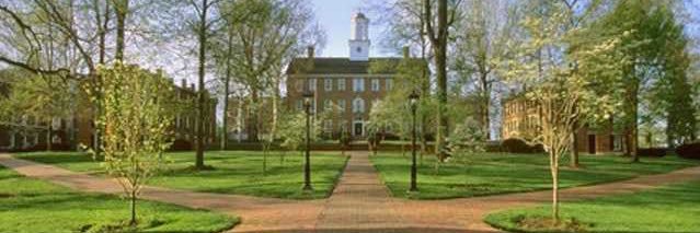 Michael Chaney banner