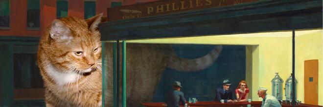 katkatho's profile banner image