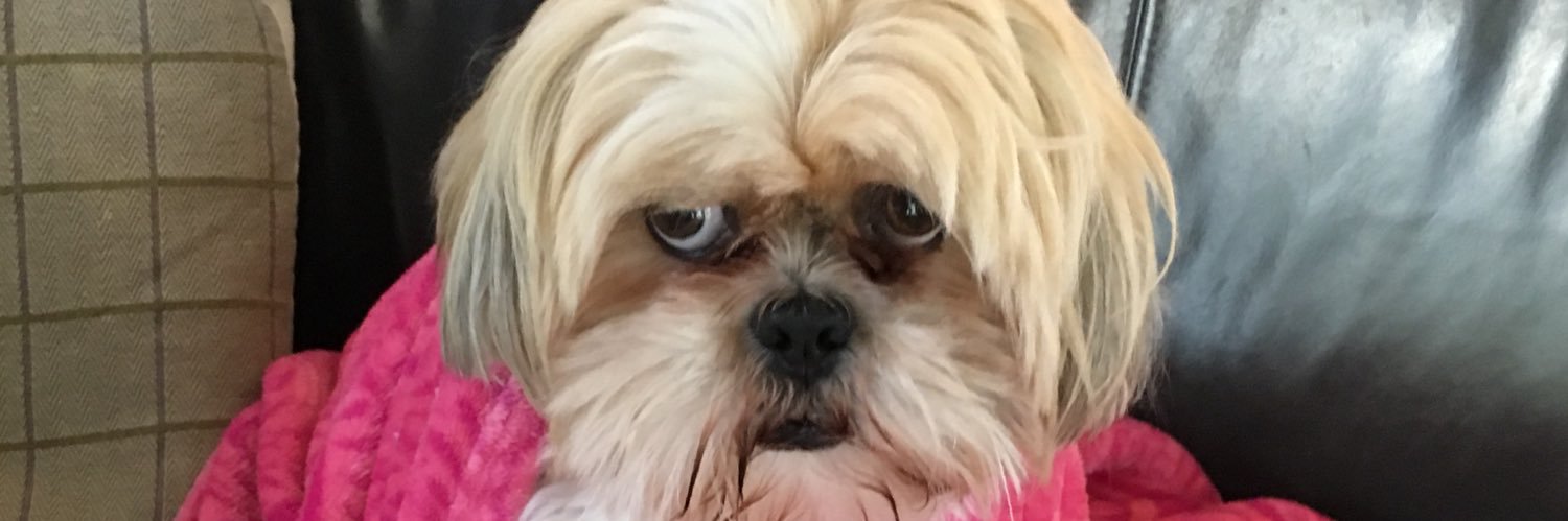 maryannmcerlean's profile banner image