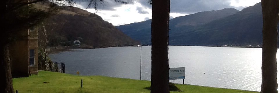 fiona_feewilson's profile banner image