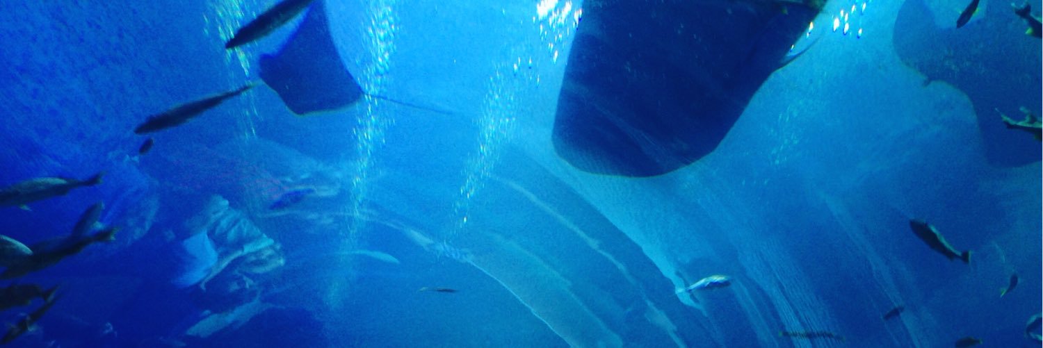 PatrickBergen's profile banner image