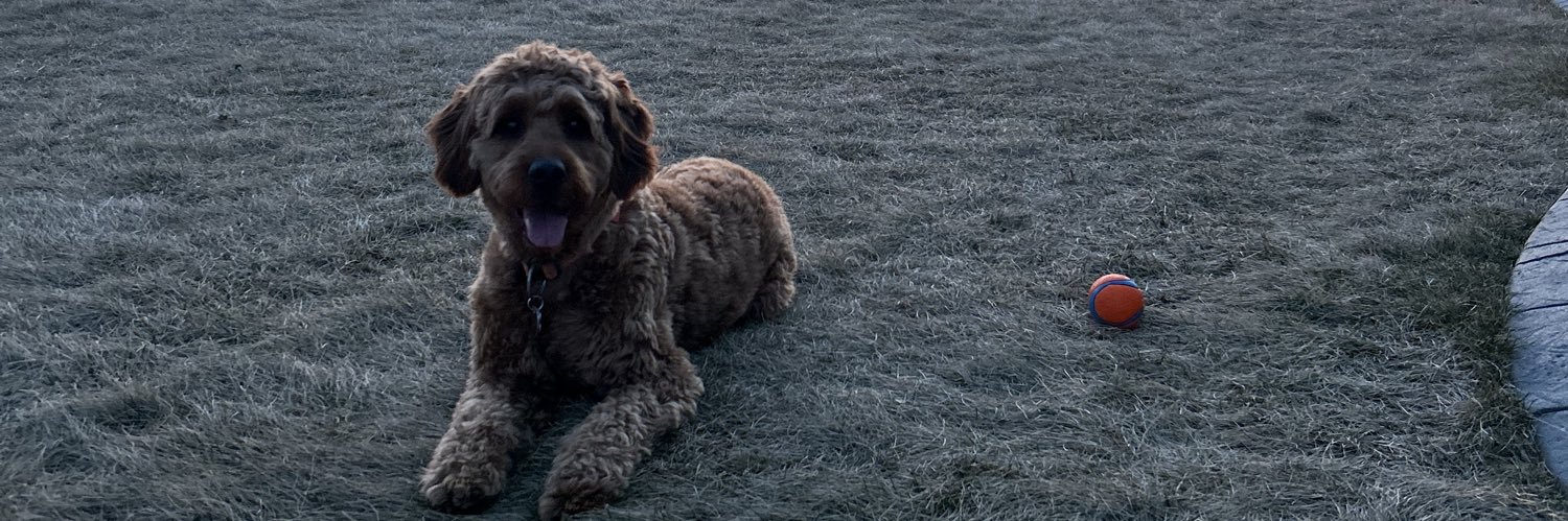 jaceyguebert's profile banner image