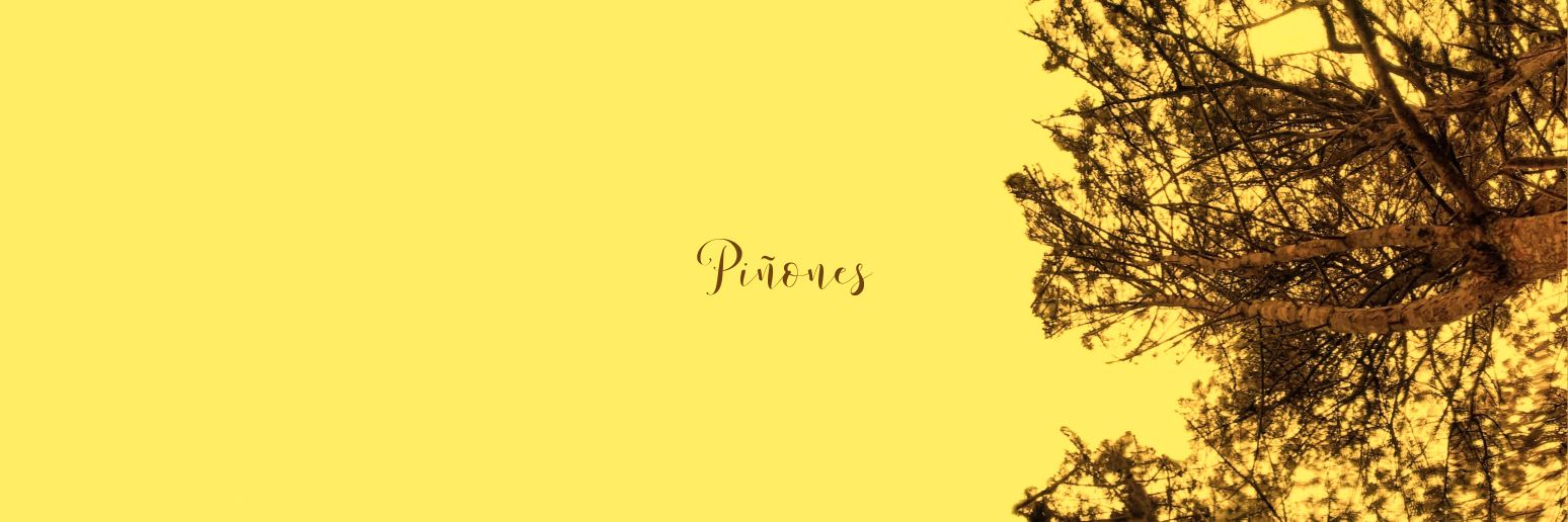 yormantbt's profile banner image