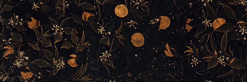 Sym_Phonie's profile banner image
