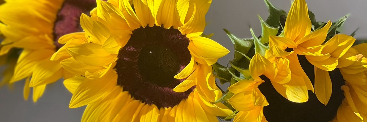 mischaa_27's profile banner image