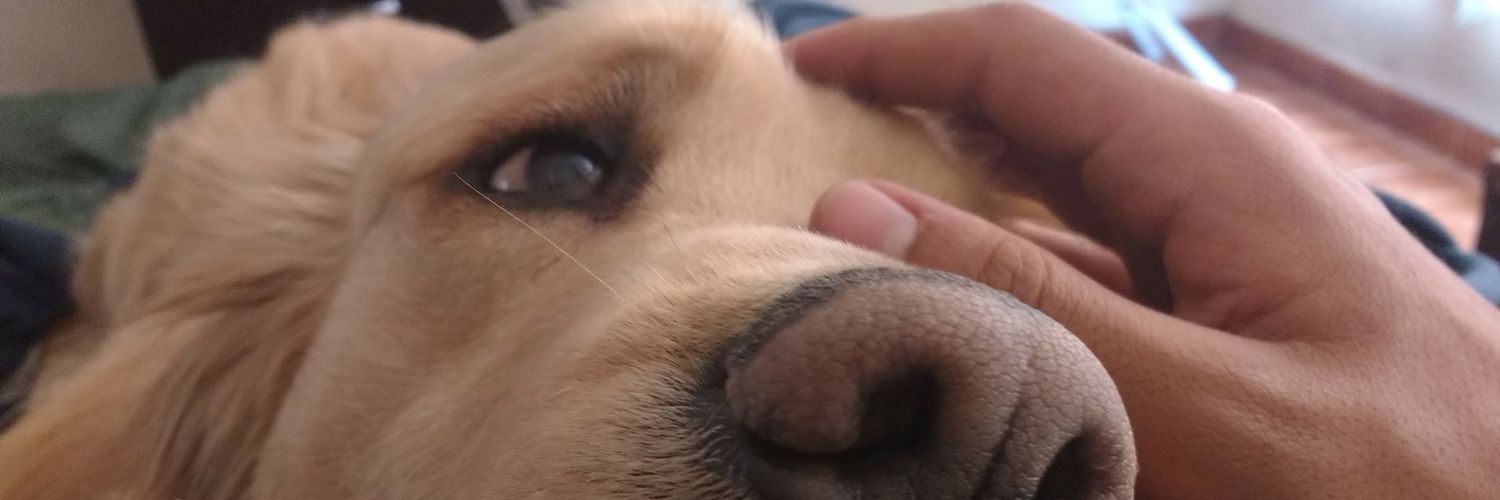 JuanXDN's profile banner image