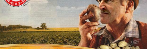 schauhin_de's profile banner image