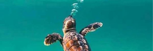 JoPopster11 Profile Banner